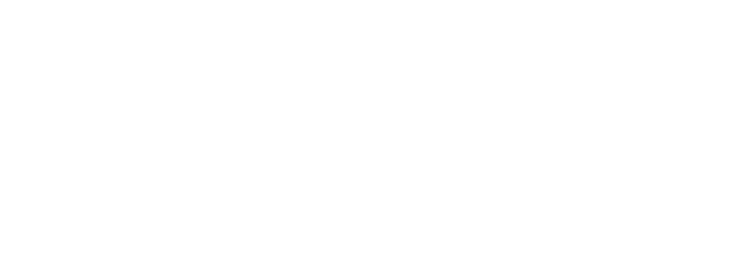 PEMSEA white logo