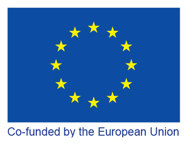 The "Rethinking Plastics – Circular Economy Solutions to Marine Litter" project is funded by the European Union and the German Federal Ministry for Economic Cooperation and Development (BMZ) and implemented by the Deutsche Gesellschaft für Internationale Zusammenarbeit (GIZ) GmbH and Expertise France.